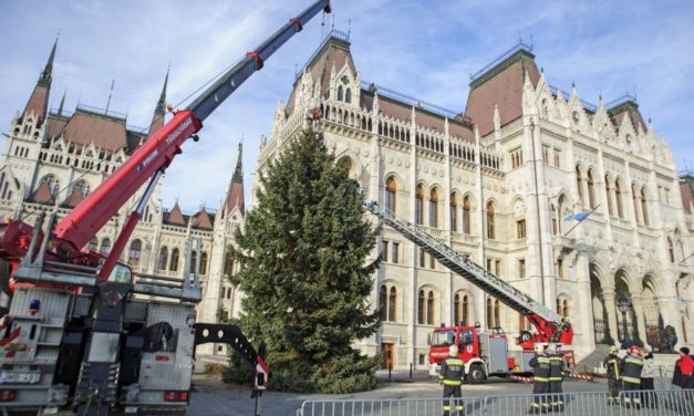 FOTO: A fost instalat Pomul de Crăciun al Ungariei din fața parlamentului din Budapesta