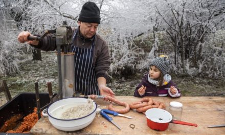 ETYEKI PIKNIK: Demonstrație de tăierea porcului lângă Budapesta