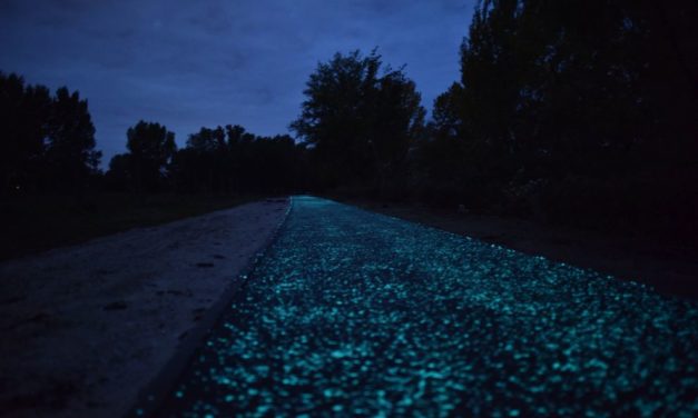 Ungaria va construi pe malul Dunării o pistă pentru biciclete care luminează