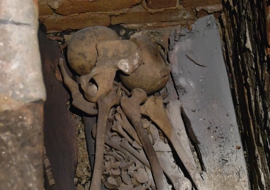 Cercetarea descendenţei familiei Huniazilor a început cu deschiderea mormântului lui Ioan Corvin