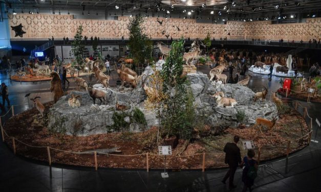 Mulţi vizitatori la Expoziţia Mondială de Vânătoare din Ungaria