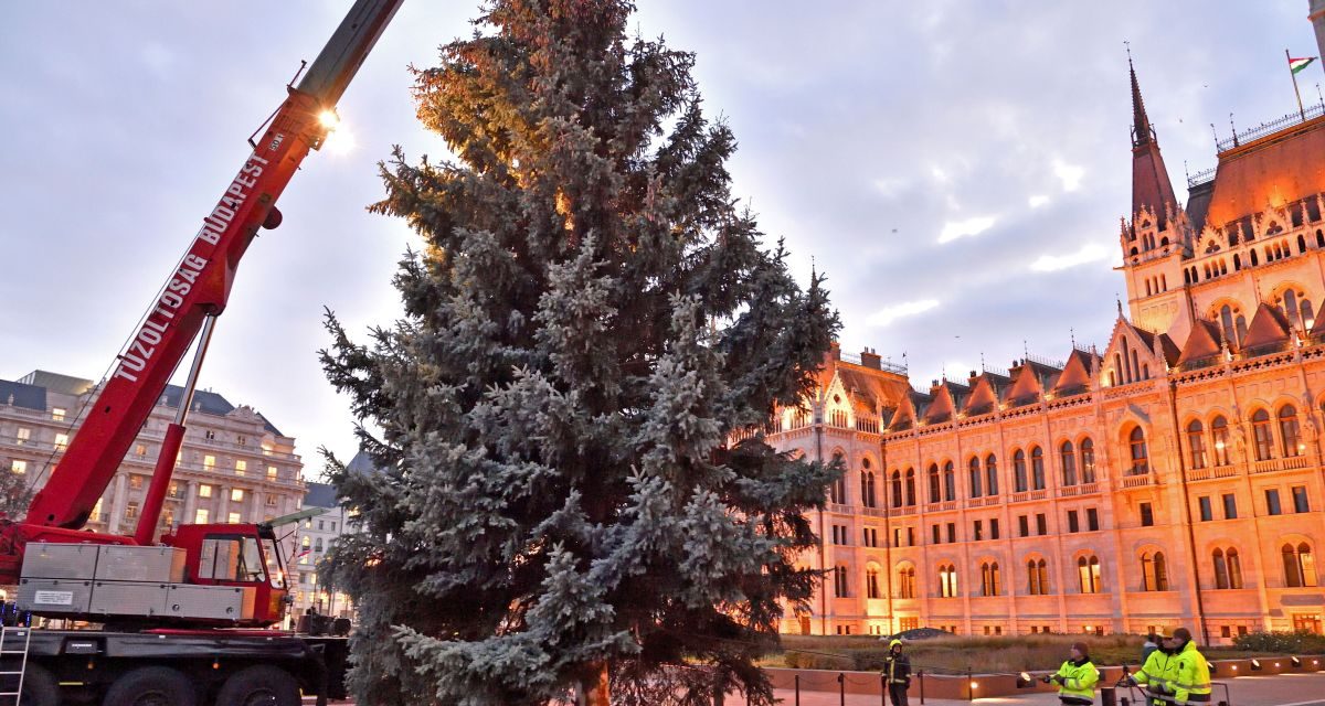 La Budapesta a fost instalat bradul de Crăciun