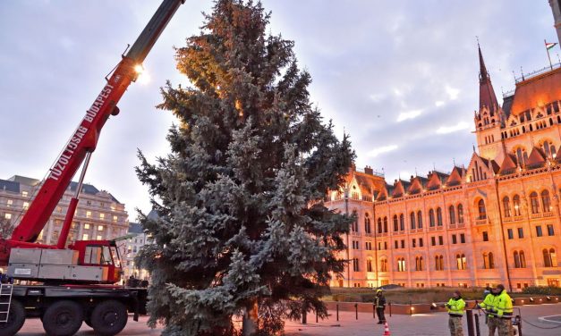 La Budapesta a fost instalat bradul de Crăciun