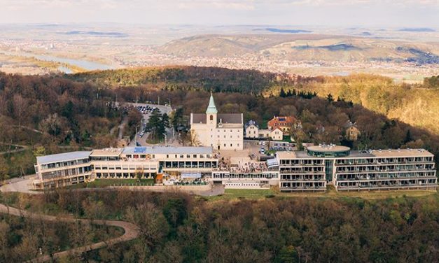 Maghiarii de la MCC achiziţionează cea mai importantă universitate privată din Austria
