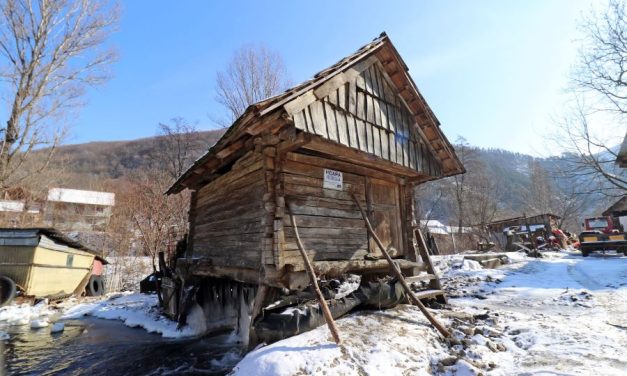 Morile istorice din Banat, promovate la ICR Budapesta – Degustare de produse tradiționale din făină măcinată la moară