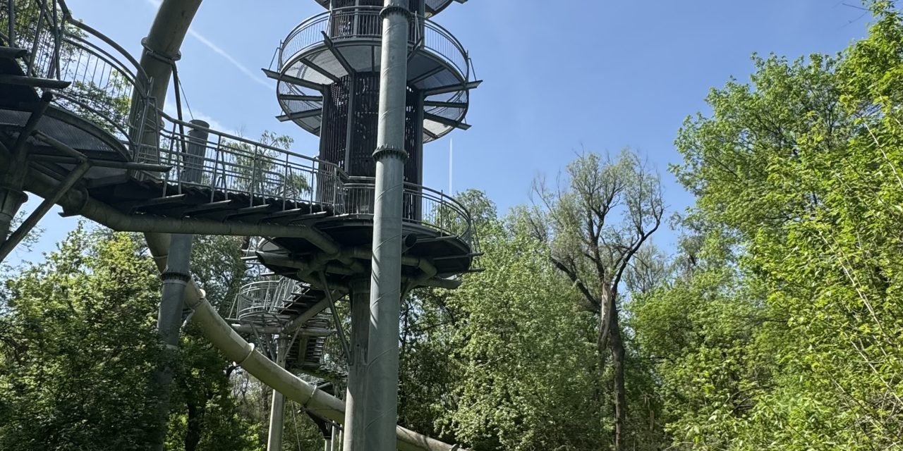 Descoperă magia de la înălțime: Lombkorona Sétány, o experiență de neuitat aproape de România